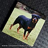 Rottweiler Magnetic Notepad